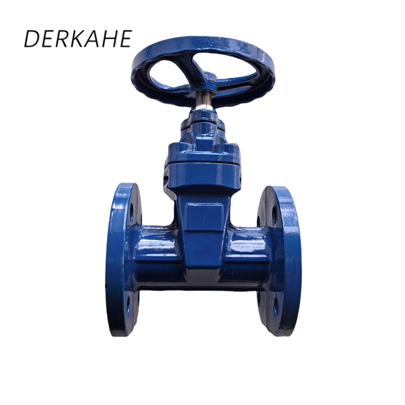 DERKAHE 软密封闸阀 Z45X-16Q DN125 个高清大图