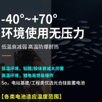 蓄电池 (200A)