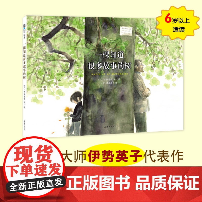 一棵知道很多故事的树 陪伴与包容的成长故事 将《窗边的小豆豆》中的小林校长带回家高清大图