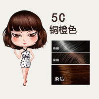 菲灵（FEELING） 翡丽彩泡泡染发剂 5C-铜橙色（自然养护染发 温和配方健康遮白低刺激）
