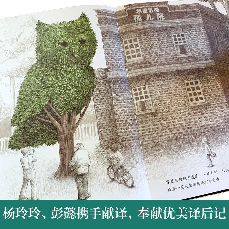 [送帆布包]午夜园丁+鹿角舟+大海 [正版]午夜园丁 暖房子国际精选精装硬壳大奖绘本净化人心儿童绘本3-6周岁幼儿亲子阅