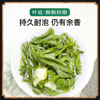 贡苑 茶叶 茉莉花茶 新茶茉莉毛尖 500g(125克*4罐) 广西横县福建茶叶散装