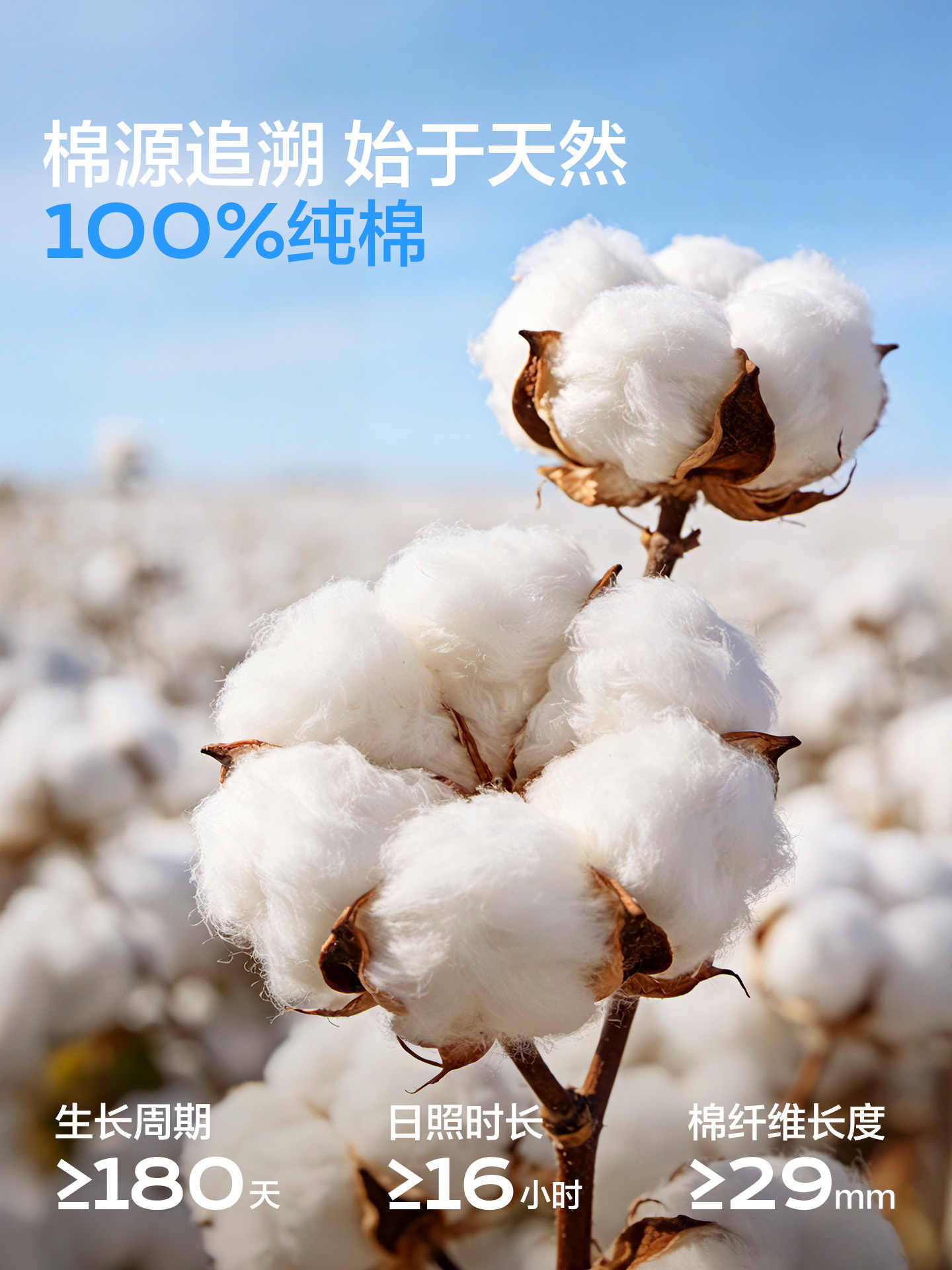 达昭一次性叉橡胶材质17只装组合装家用便捷环保设计高清大图