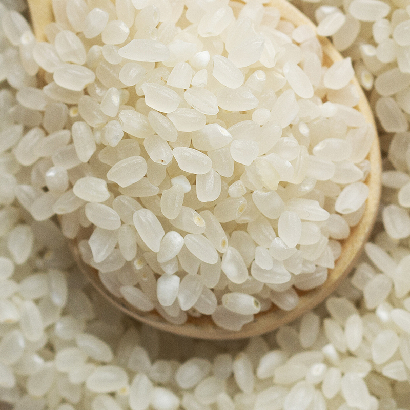 兴化大米 生态种植5kg/礼盒10斤 有机 粳稻米 圆粒米 南粳9108 2021秋收新米