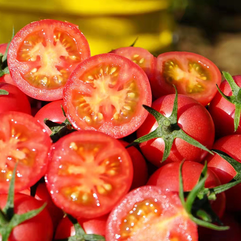 净重5斤 露天种植串收千禧圣女果西红柿水果