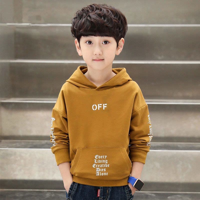 童装男童长袖秋款儿童连帽卫衣男孩打底衫春装新款潮上衣 莎丞图片