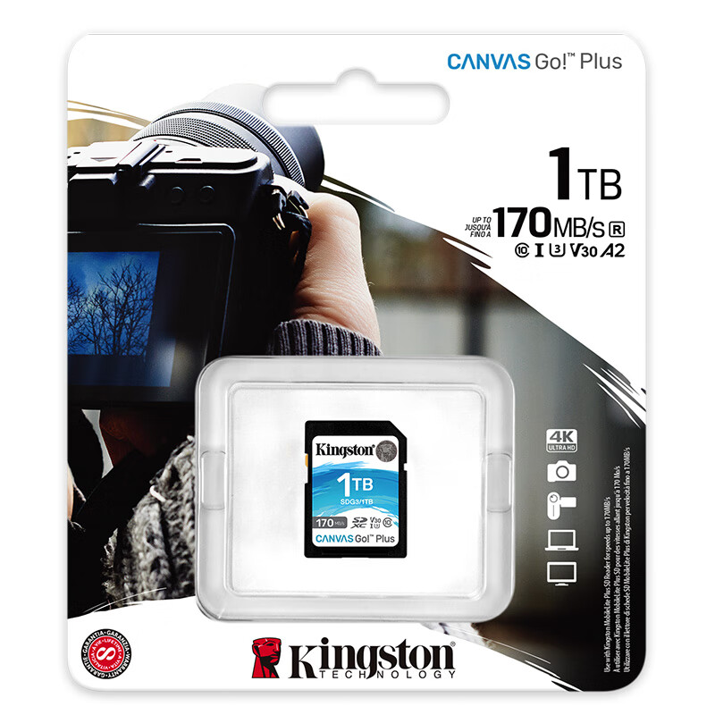 金士顿(Kingston)1TB SD存储卡 U3 V30 相机内存卡 高速sd卡大卡 4K超高清拍摄 读速170MB高清大图