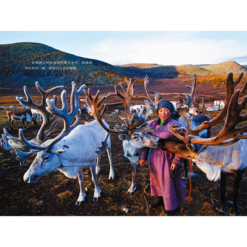 《一定一定要找到你》 [正版]东方娃娃《一定一定要找到你》彭懿的旅行笔记8-12岁儿童文学书籍三四五六年级课外阅读童书感高清大图