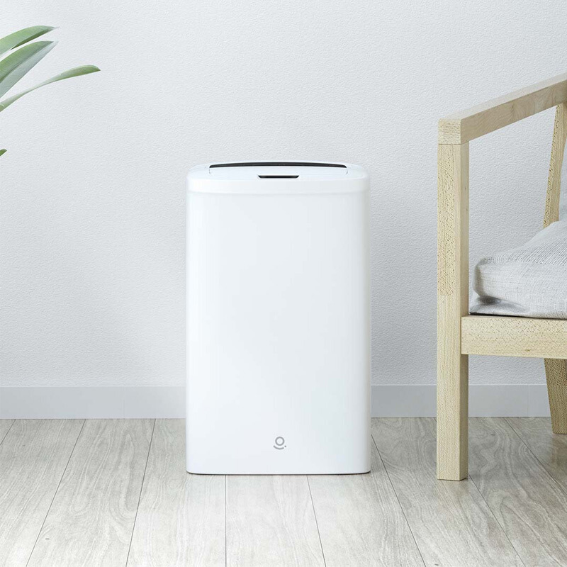 小米有品 乐秀除湿机 家用卧室 小型静音抽湿机 除湿量10L 辅助干衣 WS1 1台/箱 白色