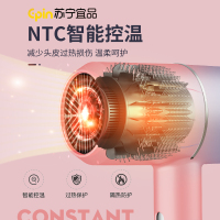 苏宁宜品 电吹风 风雅2家用大功率吹风机强风不伤发风筒 XD-332(SNYP-DCF800-02)