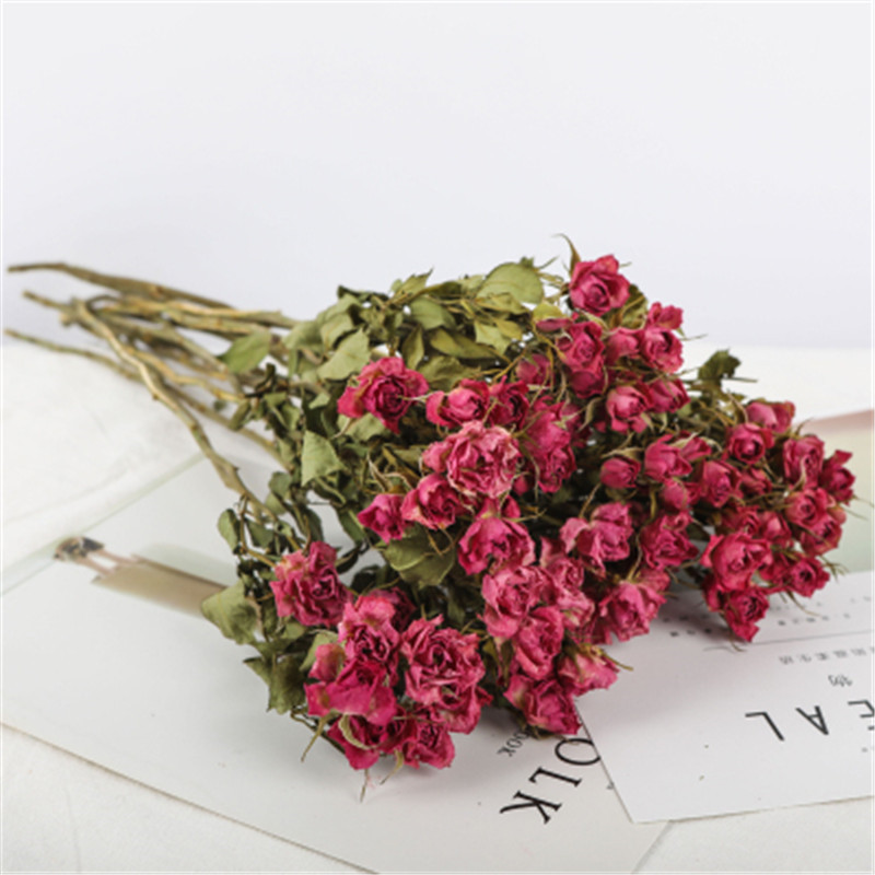 星尘花瓶 花艺浅粉色蔷薇多头玫瑰风干干花花束真花小清新ins家居客厅装饰摆件粉红女郎10支 价格图片品牌报价 苏宁易购明道家装专营店