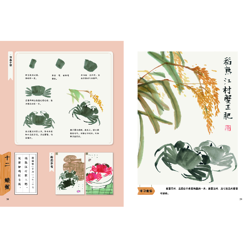醉染图书四时之绘-动物鱼虫篇9787571203573高清大图