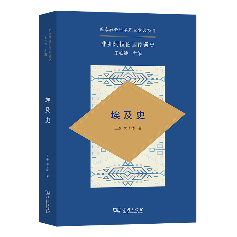 音像埃及史/非洲阿拉伯通史王泰,郭子林