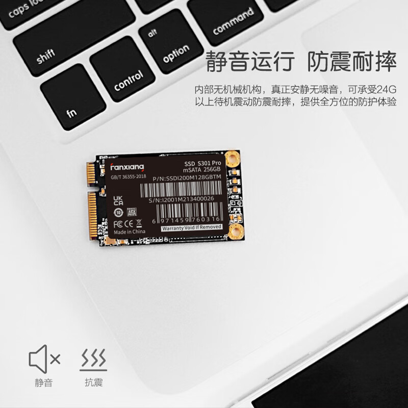 梵想256GB SSD固态硬盘 mSATA接口长江晶圆TLC颗粒 S301PRO