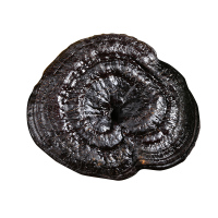 通惠东北灵芝礼盒250g/盒 深山林下整朵灵芝 滋补赤灵芝礼盒无杂质无重金属
