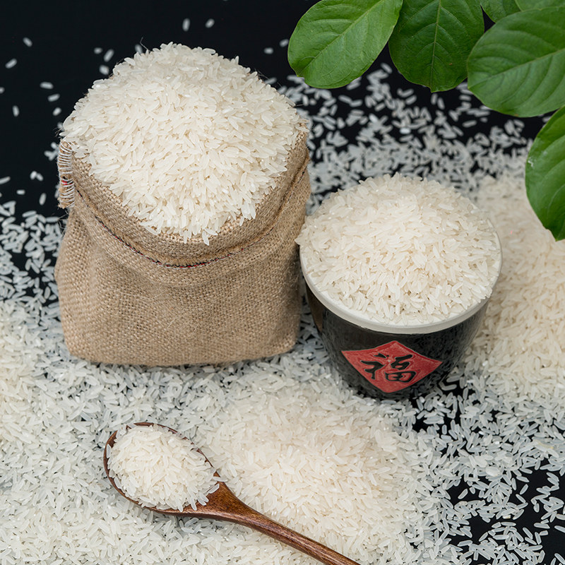 广西大米象牙香米系列10kg大包装象州特产商用家庭囤货