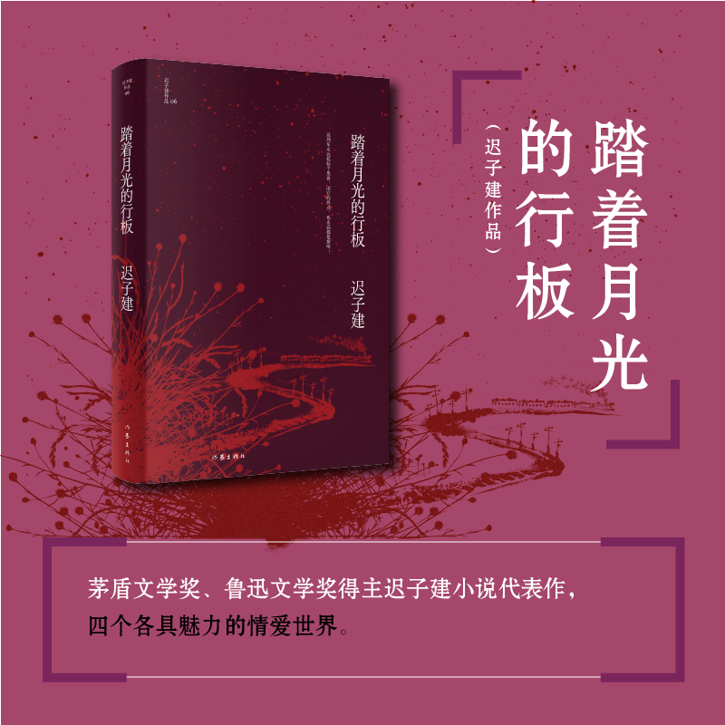 [正版] 踏着月光的行板 迟子建作品 茅盾文学奖 鲁迅文学奖 四个各具魅力的情爱世界 当代文学短篇小说故事集书 作家