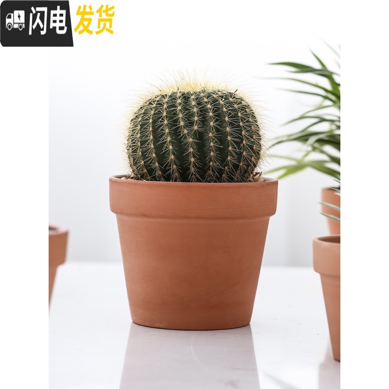 三维工匠红陶多肉小花盆育苗大号粗陶土陶瓷泥瓦盆矮盆大口径 西瓜红C2款13*15带孔3个 中等花盆容器高清大图