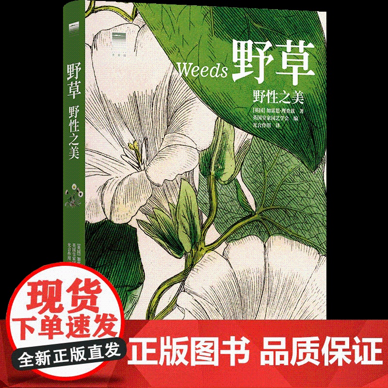 [天际线]野草:野性之美 50种未被驯服的美丽植物130余张精美博物图像展现野草中蕴含的野性之美译林出版社店高清大图