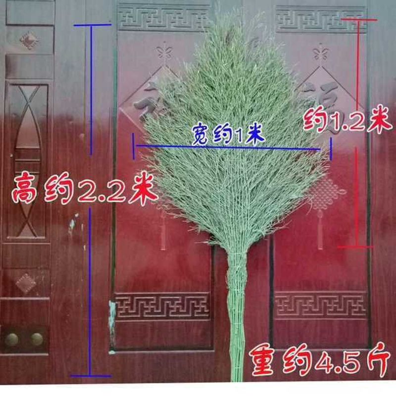 大号(4.5斤) 户外大扫把环卫扫帚扫马路庭院小笤帚物业清洁竹扫把园林手工扫把