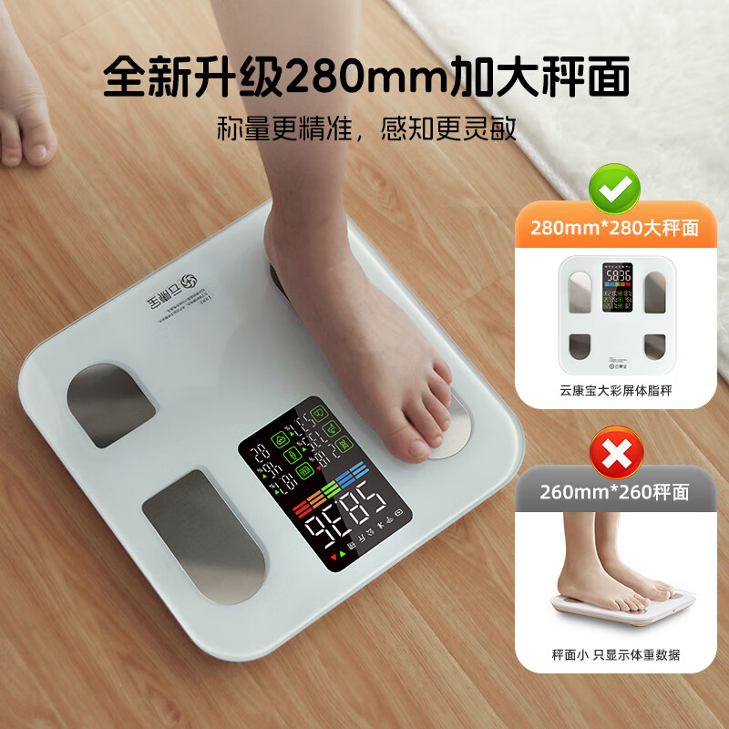 云康宝智能体脂秤-CS20E彩屏款高清大图