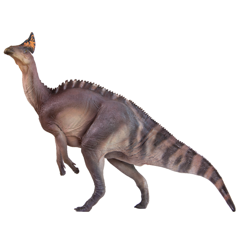 pnso扇冠大天鹅龙伊万恐龙大王成长陪伴模型53