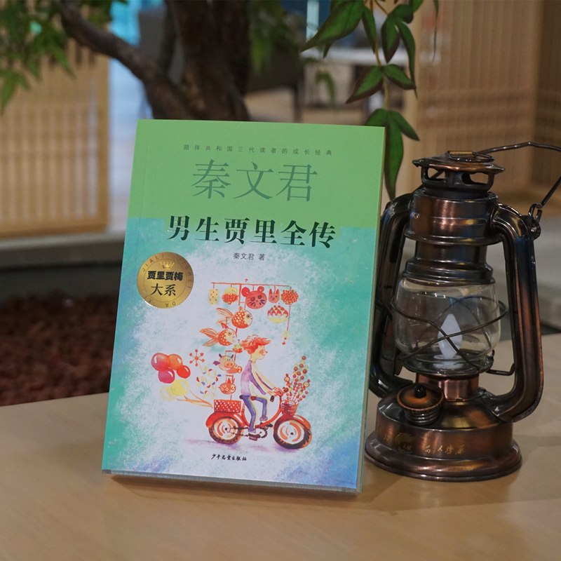 贾里贾梅大系套装(8本套)(新版)高清大图