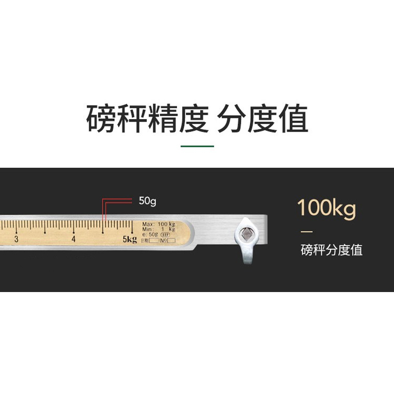 兴亚落地式带秤砣磅秤100kg