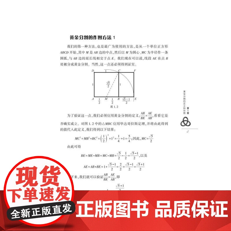 黄金分割:自然与艺术中的美丽结构 数学桥第三辑 阿尔弗雷德S波萨门蒂著英格玛莱曼上海科技教育出版社自然科学数学学生读物高清大图
