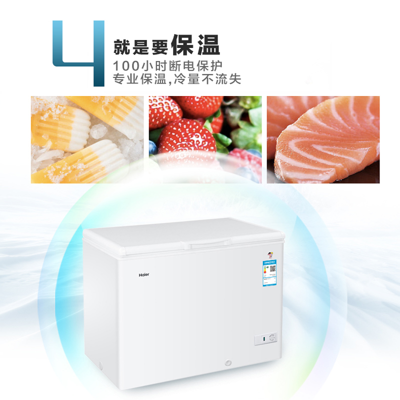 海尔(Haier) BC/BD-315HDB 商用卧式冰箱冷柜 冷藏冷冻转换冰柜 315升