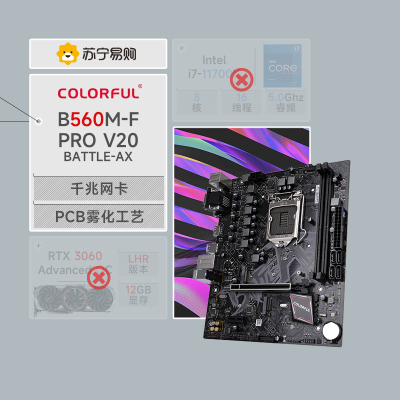 七彩虹 BATTLE-AX B560M-F PRO V20 主板