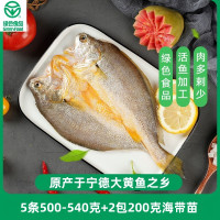 夏威绿色食品5条500-540g/条黄鱼鲞生鲜大黄鱼黄花鱼预制菜三去+海带苗2包200g