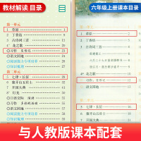教材解读六年级上册语文数学2019秋新版RJ人教版 部编版小学六年级上册语文教材全解同步教辅导资料书 人民教育出版社配套