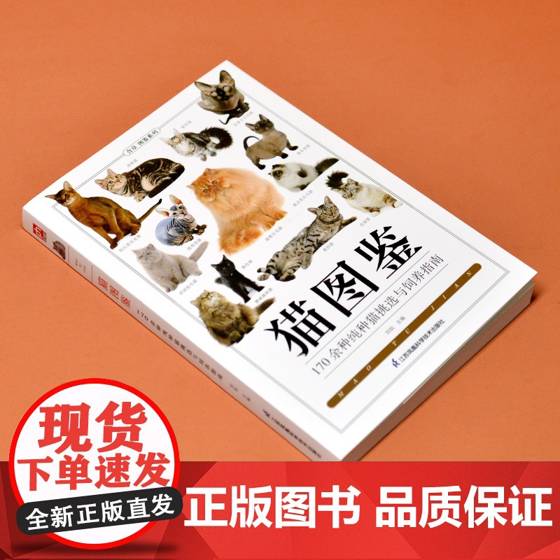 猫图鉴170余种纯种猫挑选与饲养指南,幼猫与成猫外观展示高清大图