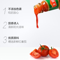 海天番茄沙司250g 披萨汉堡薯条意大利面 番茄酱调料