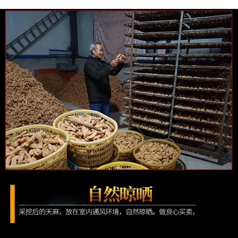 霍山野外天麻250克 非云南昭通小草坝天麻 可切天麻片免费磨天麻粉高清大图