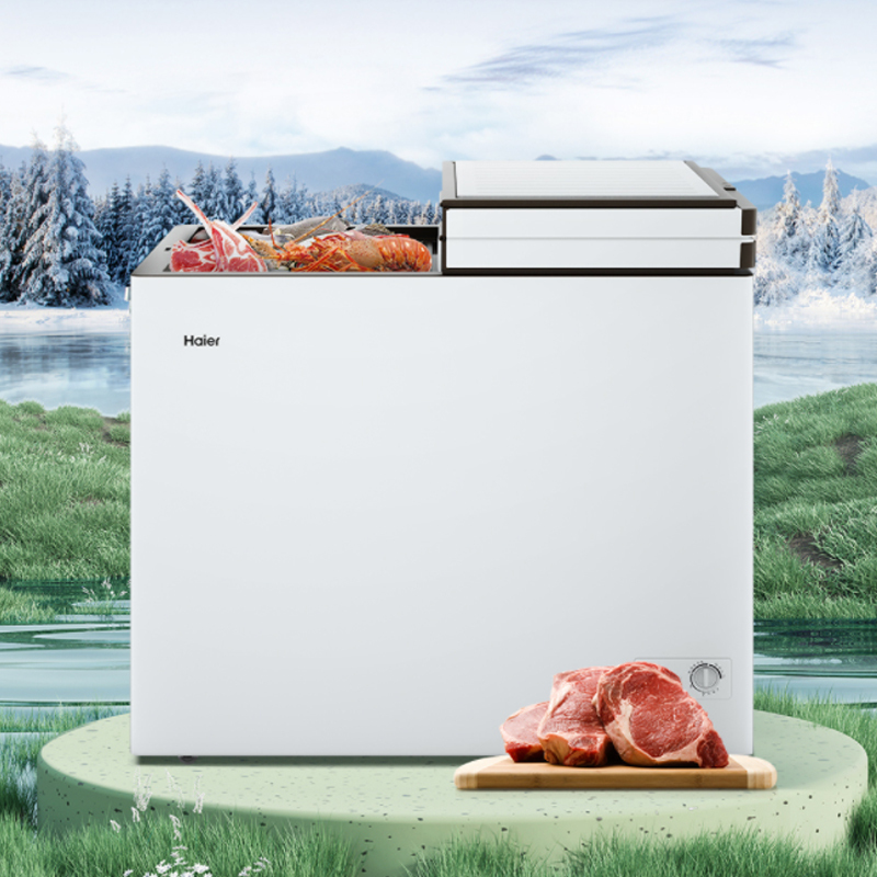 海尔(Haier)215升 家用卧式冰柜 冷柜 双温柜 双温双箱 断电保护 3D制冷 FCD-215LHSD高清大图