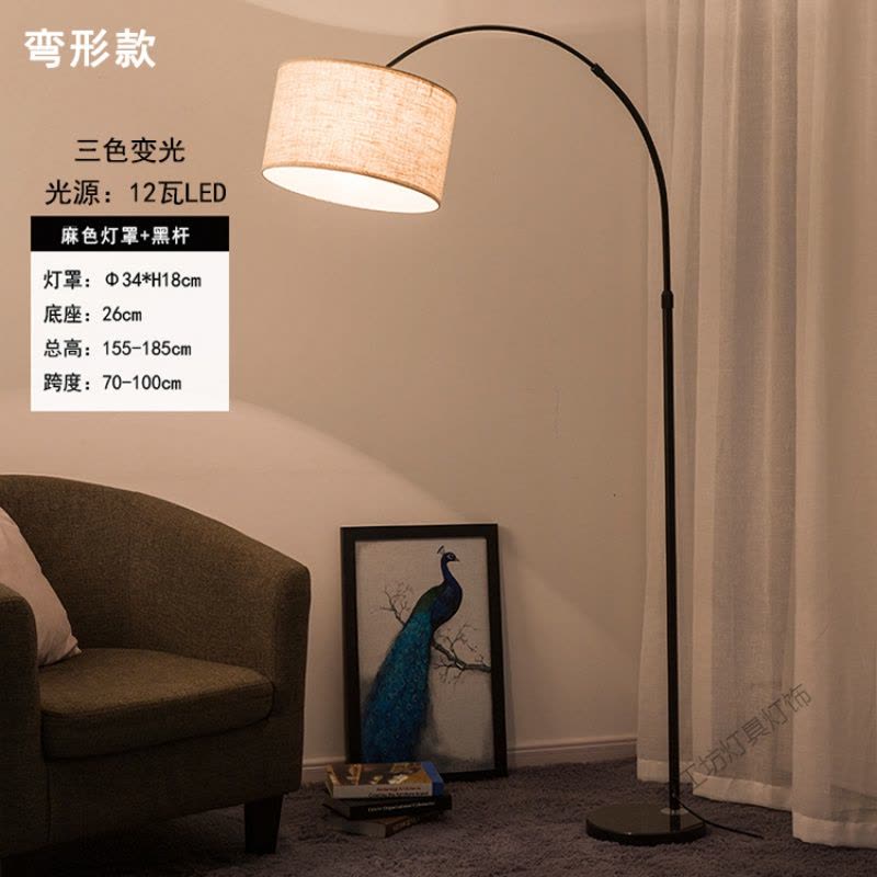 苏宁放心购 钓鱼灯落地客厅卧室书房灯创意网红遥控北欧ins风立式台灯图片