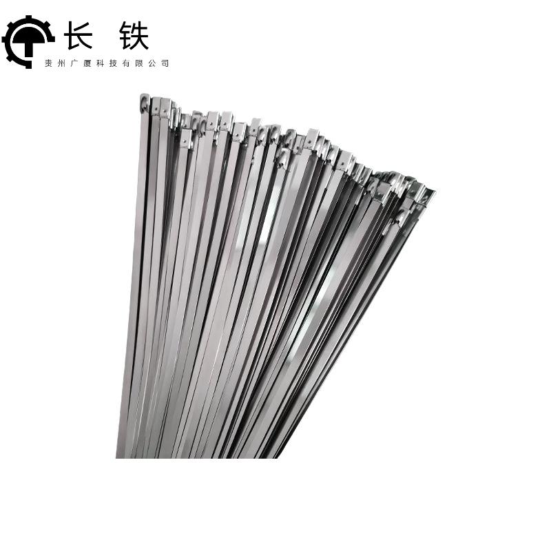 长铁 不锈钢扎带 4.6*350mm 包高清大图