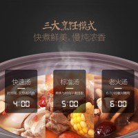 美的电炖锅 WTGS401 南都陶釜炖汤锅智能预约电炖煲单胆 4L/4升内胆材质陶瓷内胆