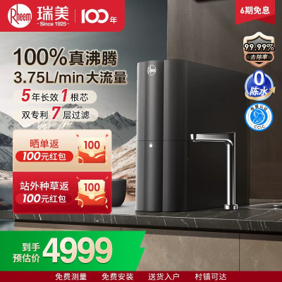 Rheem瑞美净水器RWRH-2500G1
