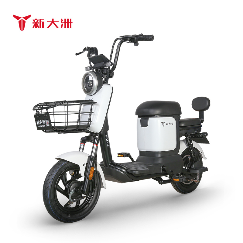 新大洲电动车 电瓶车48V 男女士成人外卖通用 白色 TDT39Z