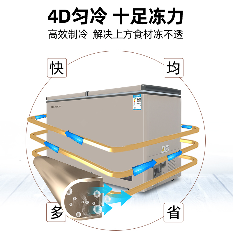 星星(XINGX) 282升家用冰柜 冷柜 商用 冷藏冷冻转换 双温冰柜 顶开门 微霜系列 强冷冻力 BCD-282R