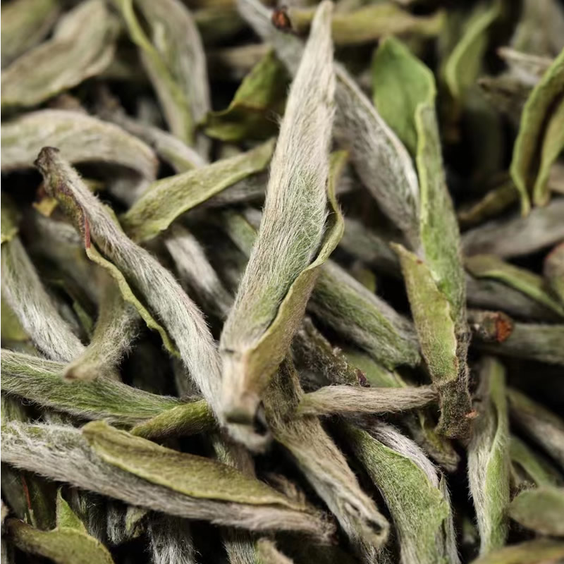 正宗明前白毫银针福鼎白茶散装特级白豪银针茶叶2025新茶500g散装高清大图