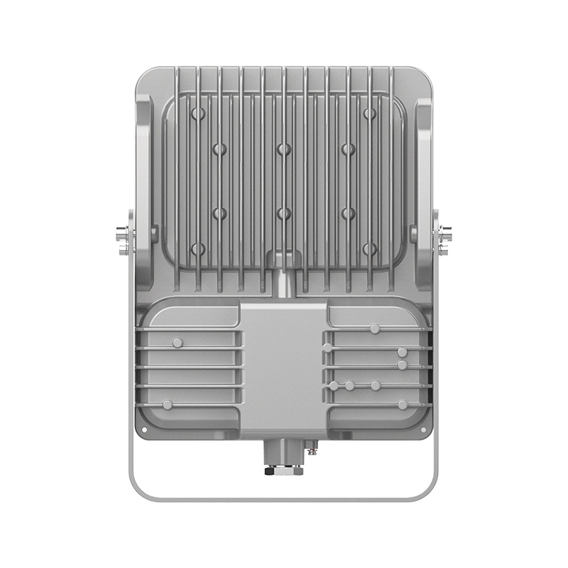 欧辉照明 (OHUIZAOMIN) OHSF9193-100W 三防投光灯 套 1 付款后15天内发货