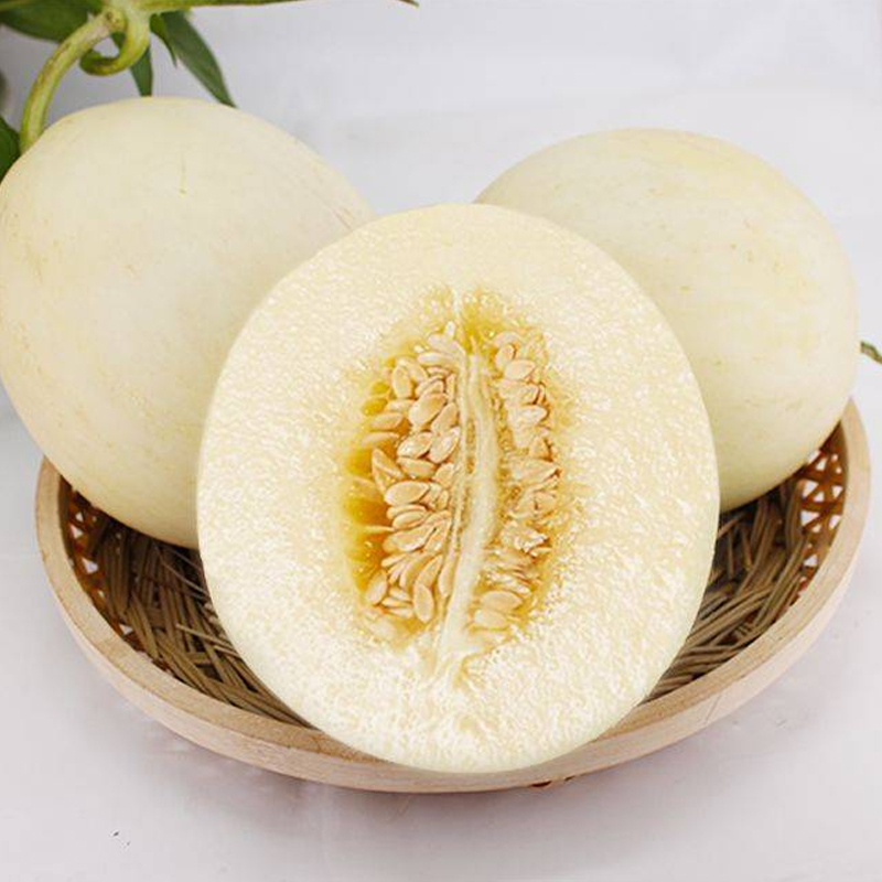 [苏鲜生]陕西阎良甜瓜 净重8.5斤 箱装 蜜瓜香瓜 当季甜瓜新鲜水果 苏鲜生
