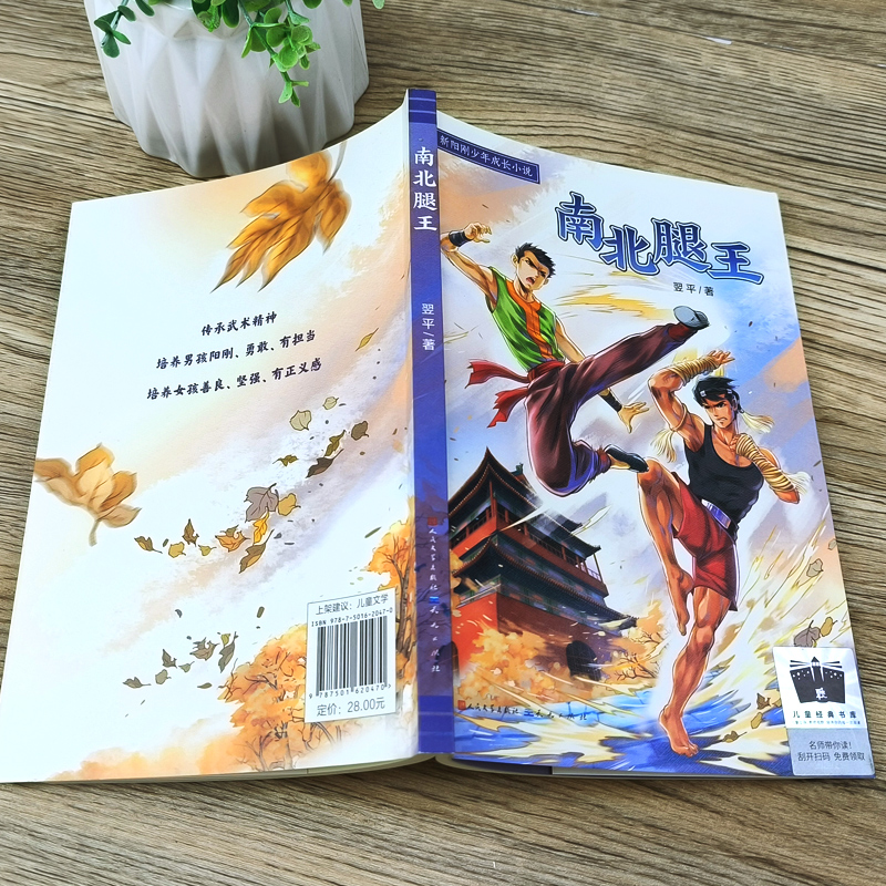 星际先锋 [正版]南北腿王 翌平著 新阳刚少年成长小说 六年级百班千人祖庆说大阅小森 小学生课外书阅读书籍 天天出版社k高清大图
