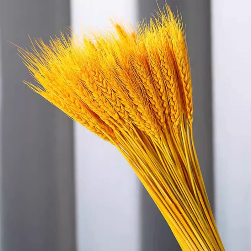 锦瑞星装饰仿真花摆件麦穗干花F3-A个高清大图