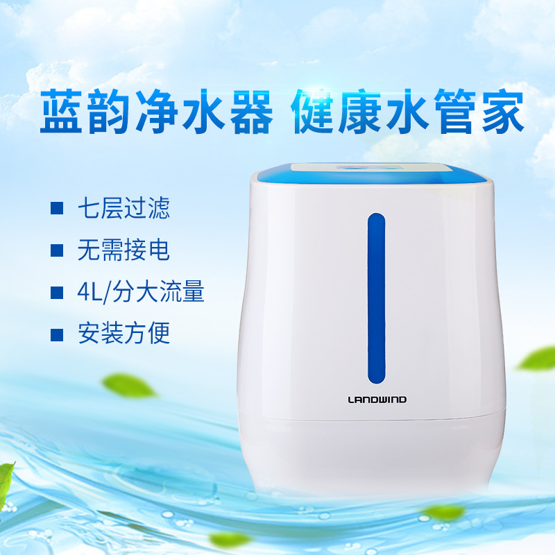 蓝韵 超静音净水器家用 厨房水龙头自来水滤水器 直饮小型过滤芯净化器OLS-UF2009A