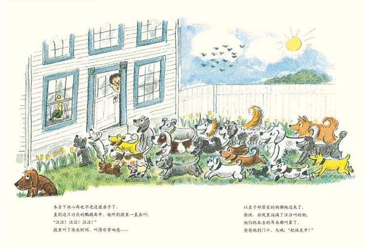 [醉染正版]本吉和鹦鹉儿童绘本精装硬壳蒲蒲兰幼儿友谊快乐品格认知启蒙早教书籍3-4-5-6-8岁宝宝睡前故事书幼儿园图画高清大图